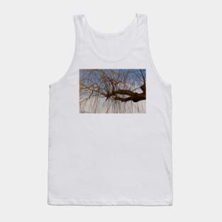 The Trees Of Beihai Park © Tank Top